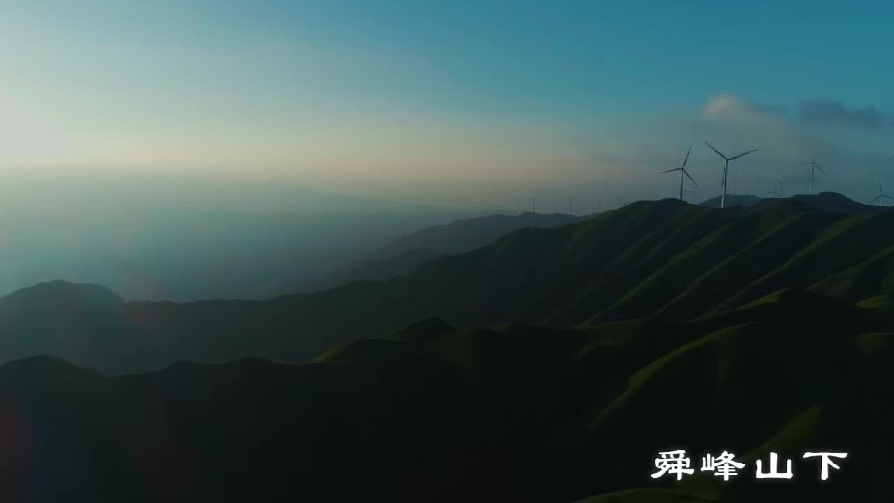 舜华鸭业：临武山水鸭天下