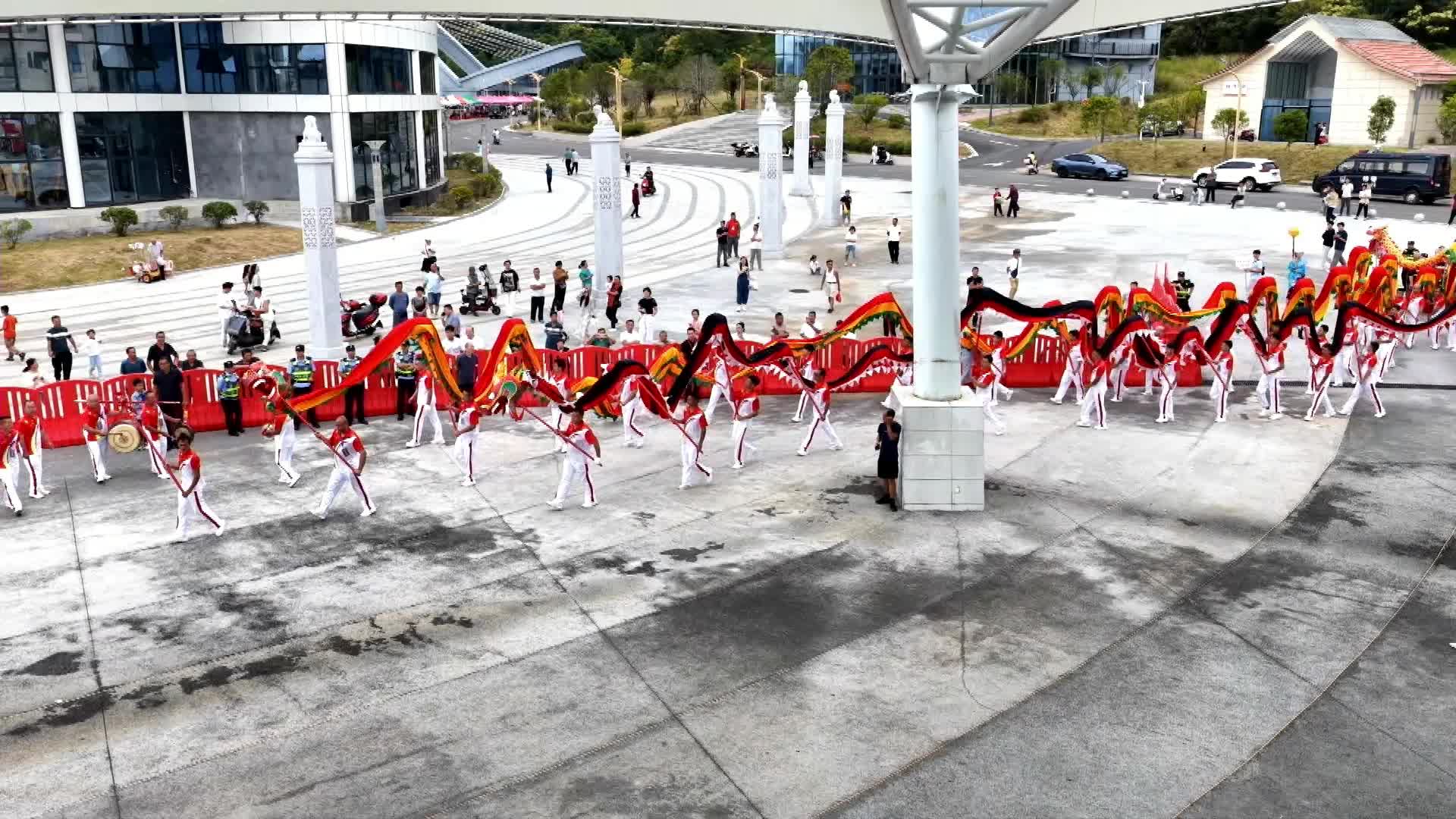 郴品郴味 舞动潇湘：传统（创意）舞龙二等奖·临武县南强镇舞龙代表队