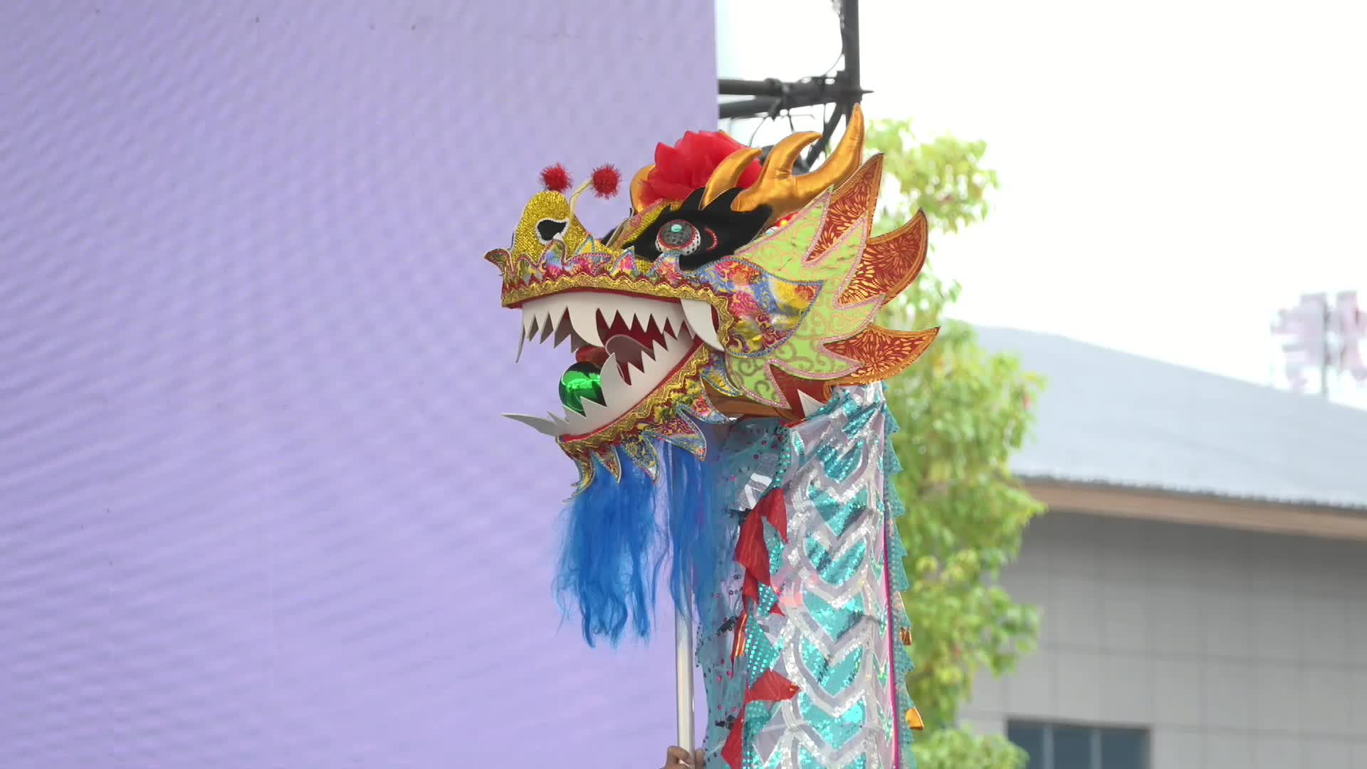 郴品郴味 舞动潇湘：自选舞龙二等奖·宁远县韦然青少年舞龙代表队