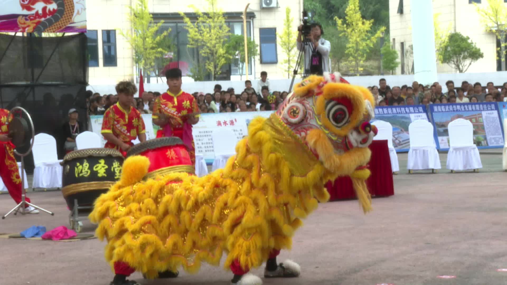 郴品郴味 舞动潇湘：自选南狮二等奖·湖南振鹏龙狮团南狮代表队