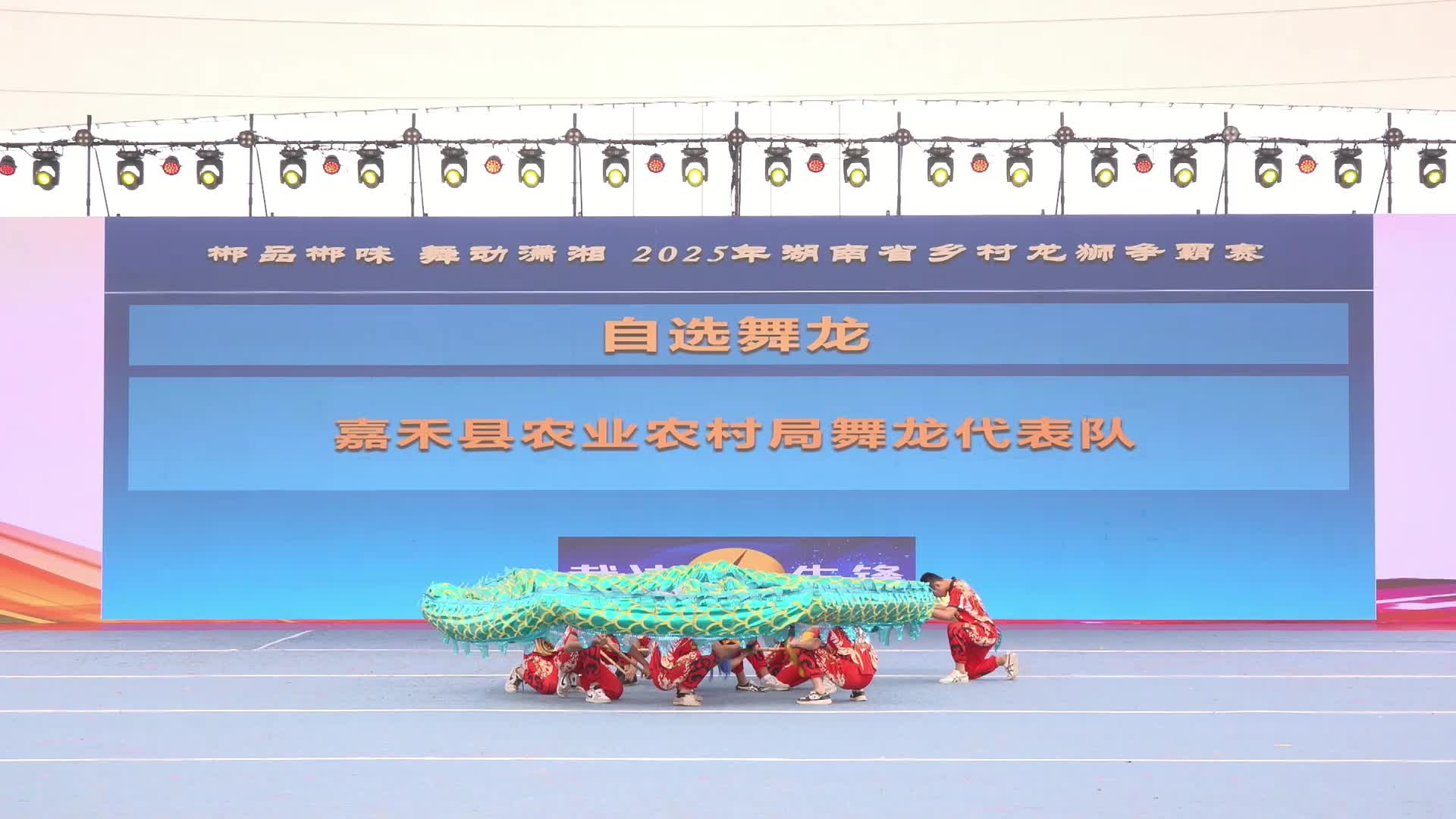 郴品郴味 舞动潇湘：自选舞龙三等奖·嘉禾县农业农村局舞龙代表队