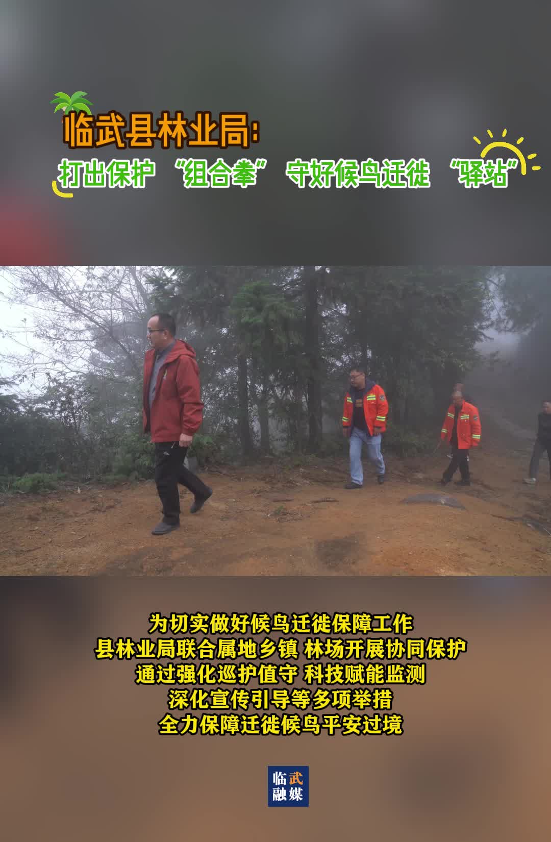 临武县林业局：打出保护 “组合拳” 守好候鸟迁徙 “驿站”