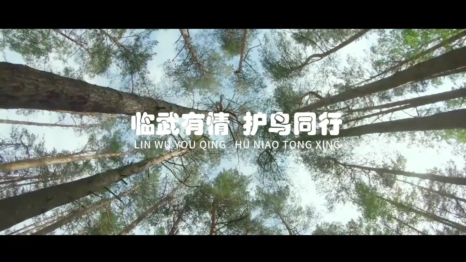 临武有情 护鸟同行
