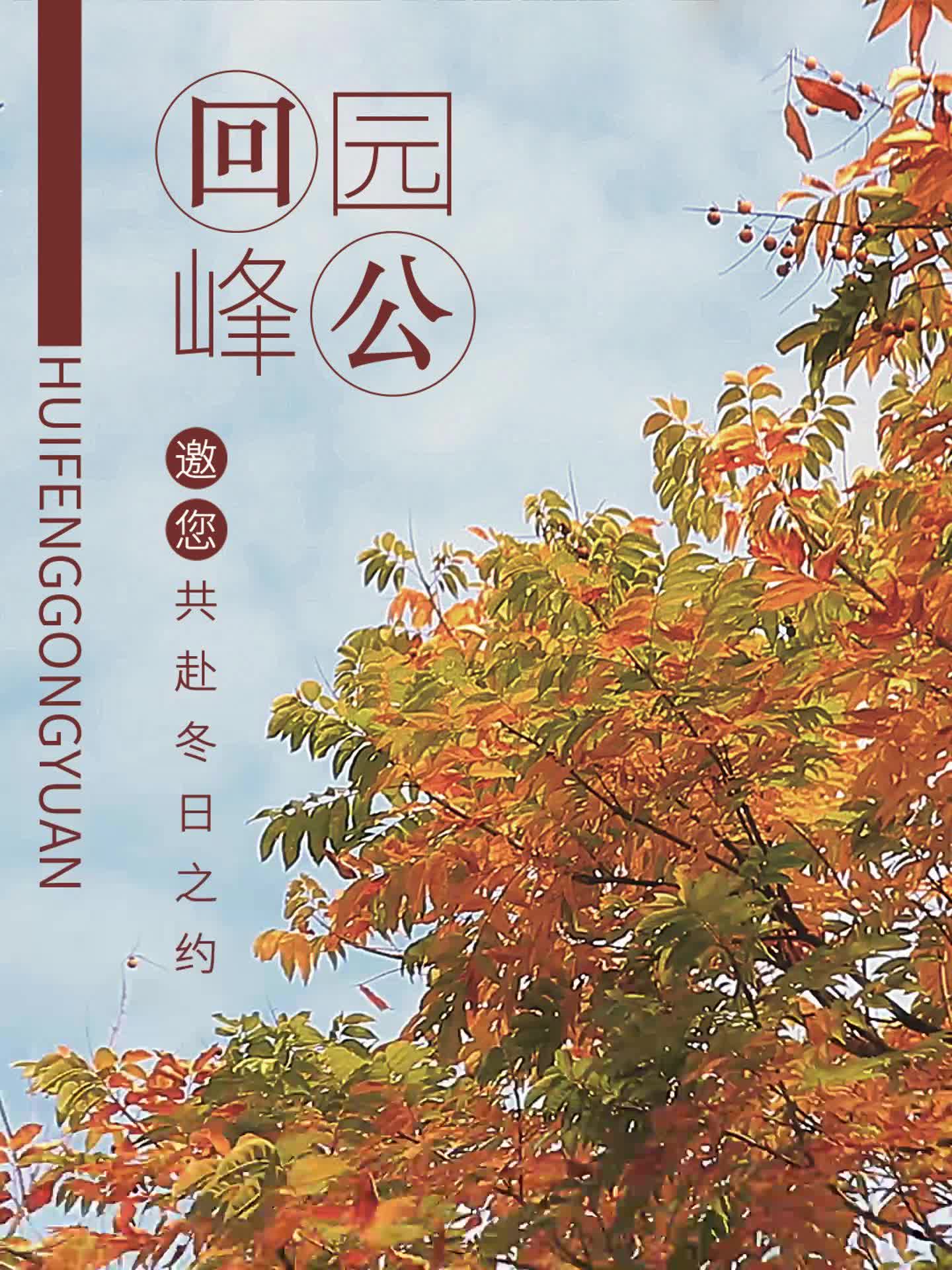 回峰公园—满园“枫”景入画来