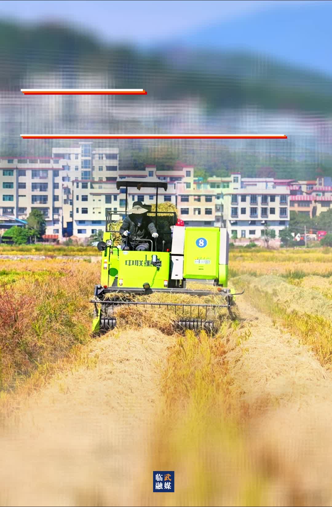 打捆离田 秸秆为乡村振兴添 “绿能”