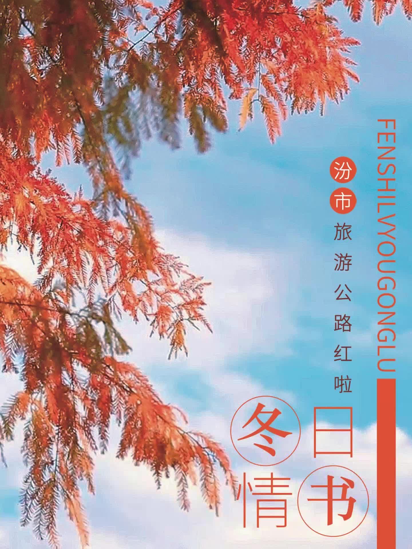 冬日限定！汾市旅游公路又“红”啦！