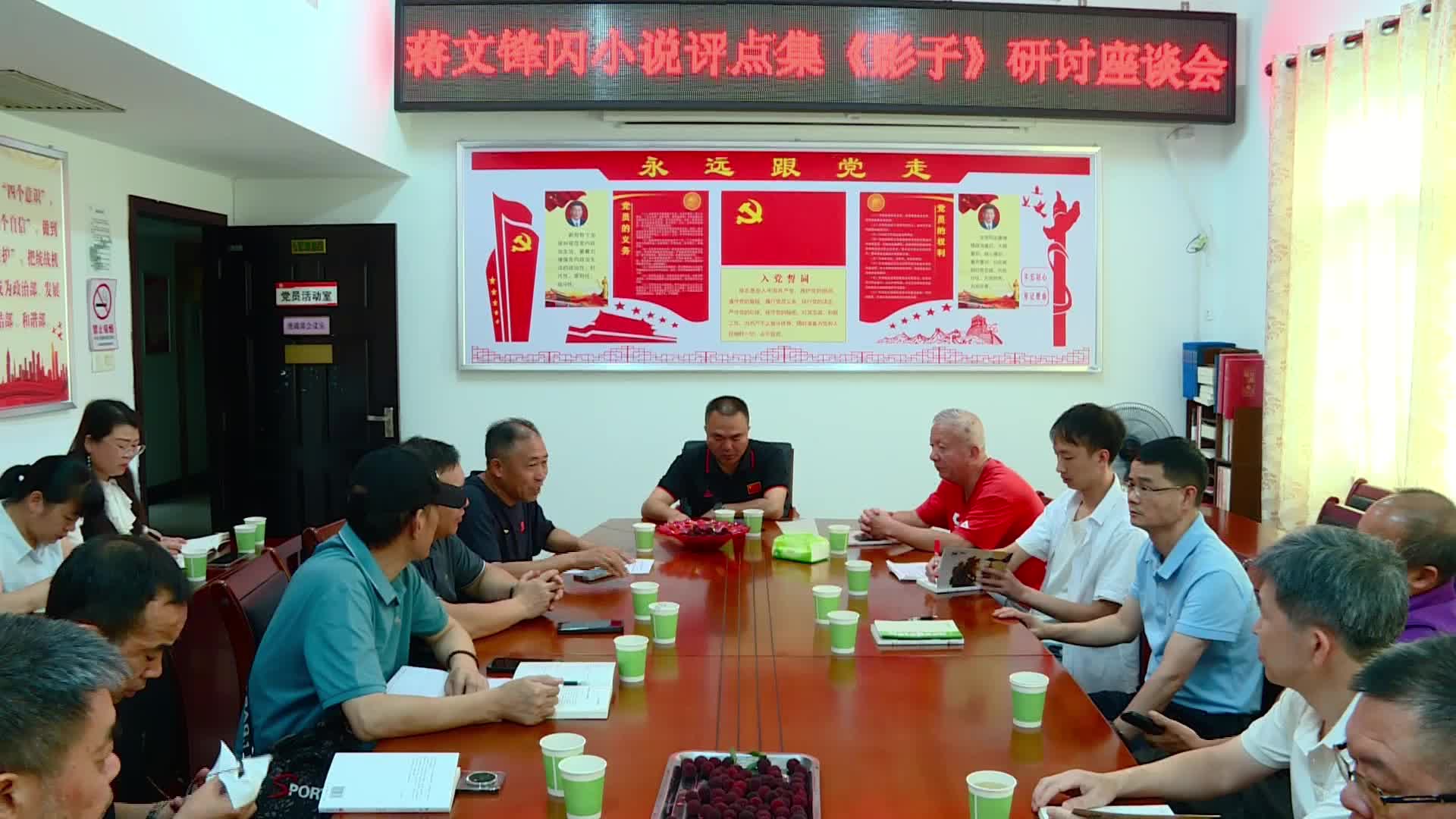 临武县举行闪小说评点集《影子》研讨会