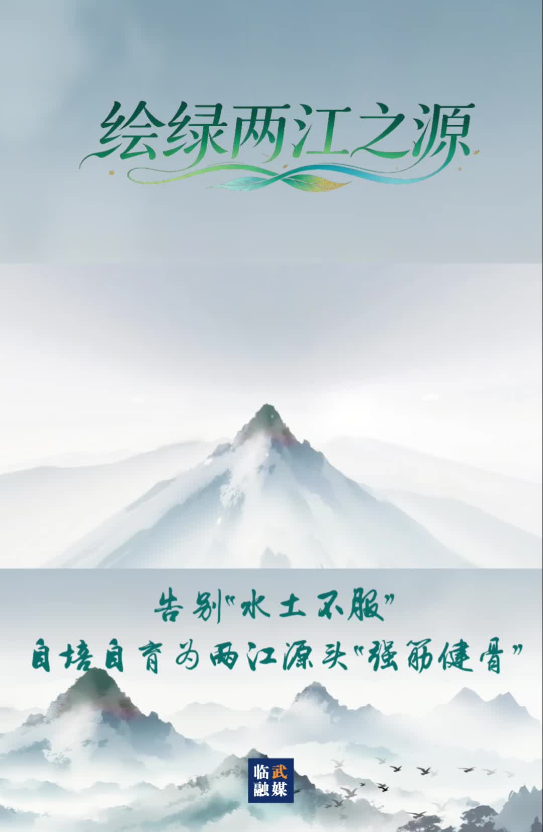 绘绿两江之源｜告别“水土不服” 自培自育为两江源头“强筋健骨”