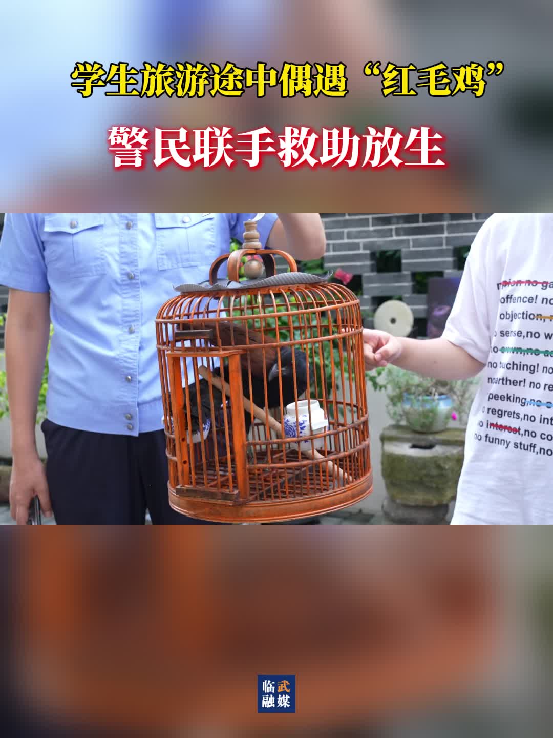 学生旅游途中偶遇“红毛鸡” 警民联手救助放生