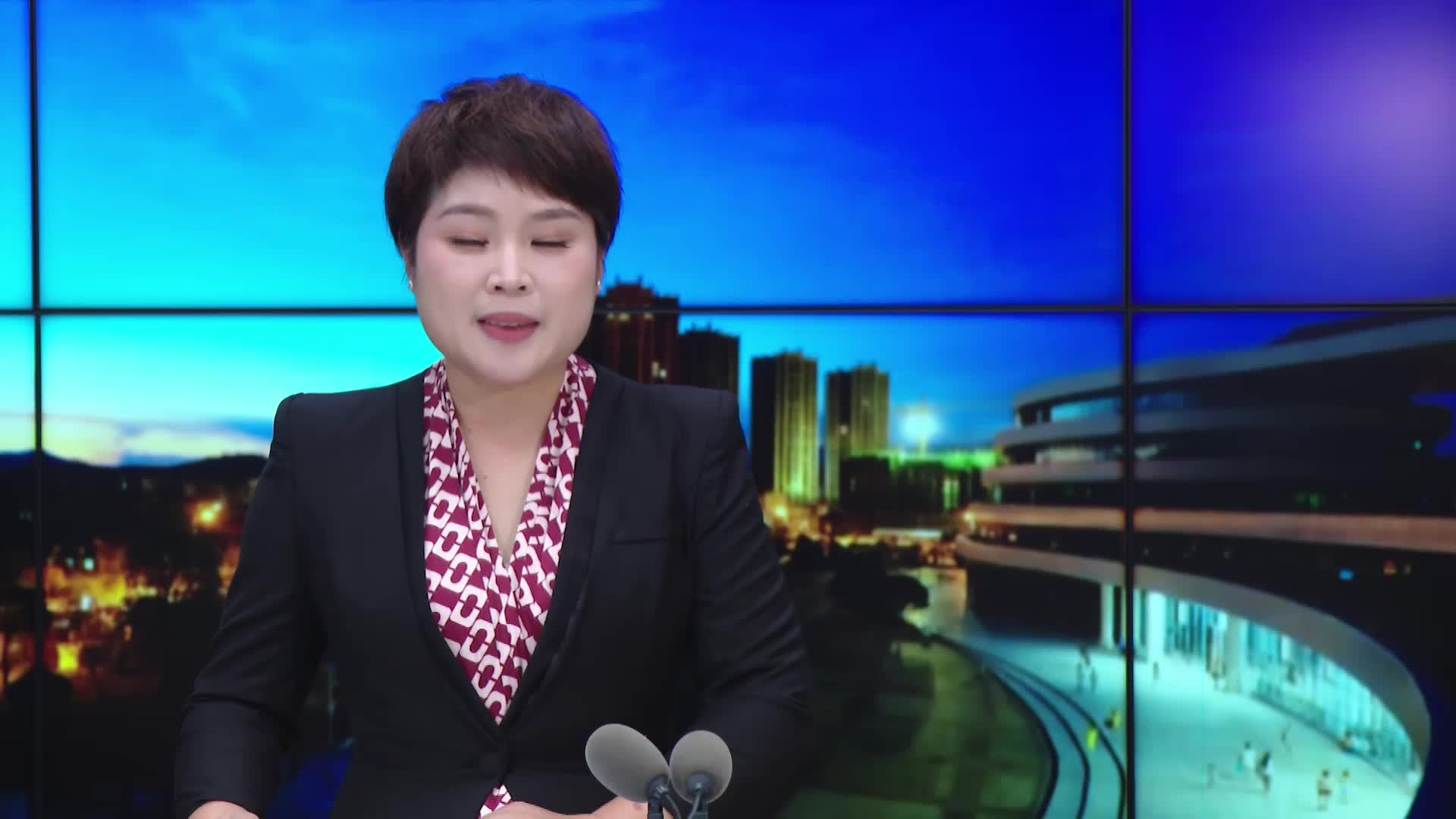 暖心救助！7只野生鸟类重返自然