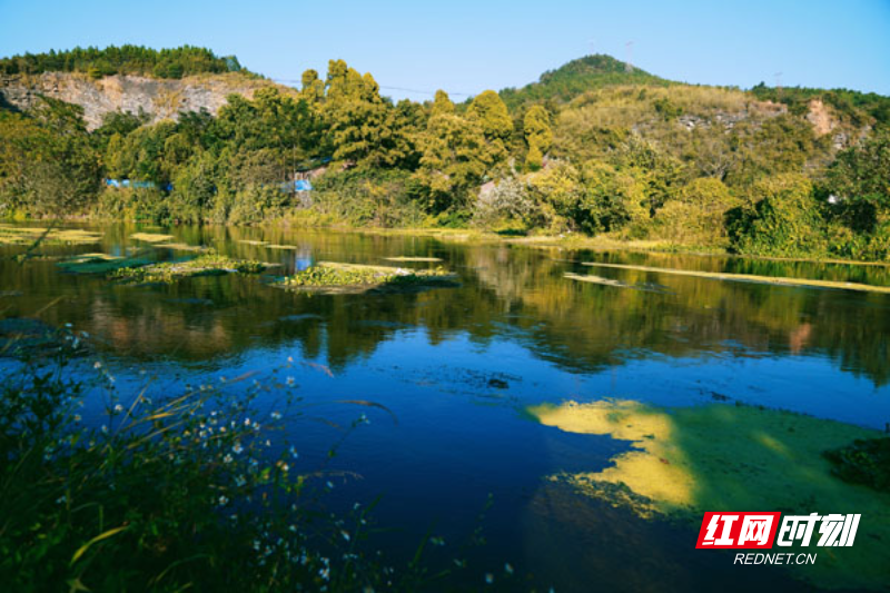 【红网时刻】组图 | 服不服“数”浮萍