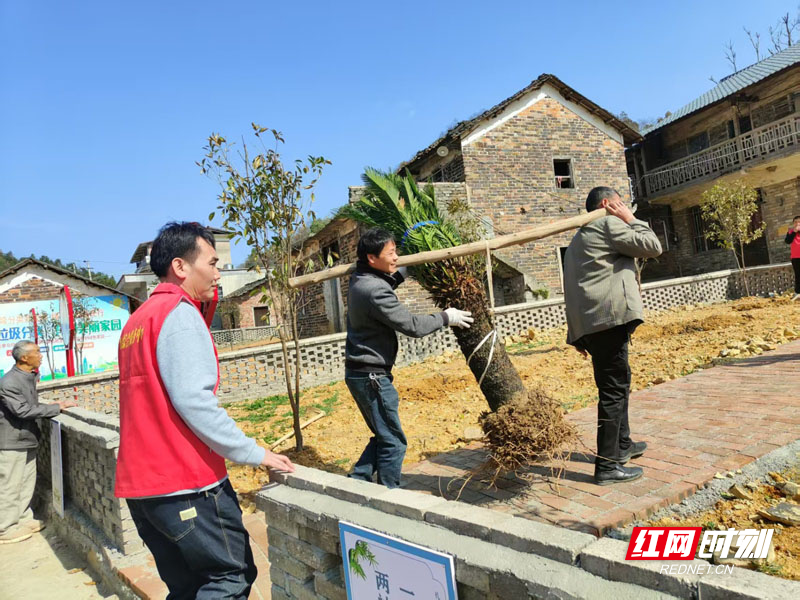 【红网时刻】临武县：探索“村企联姻”助力产业兴旺新路径