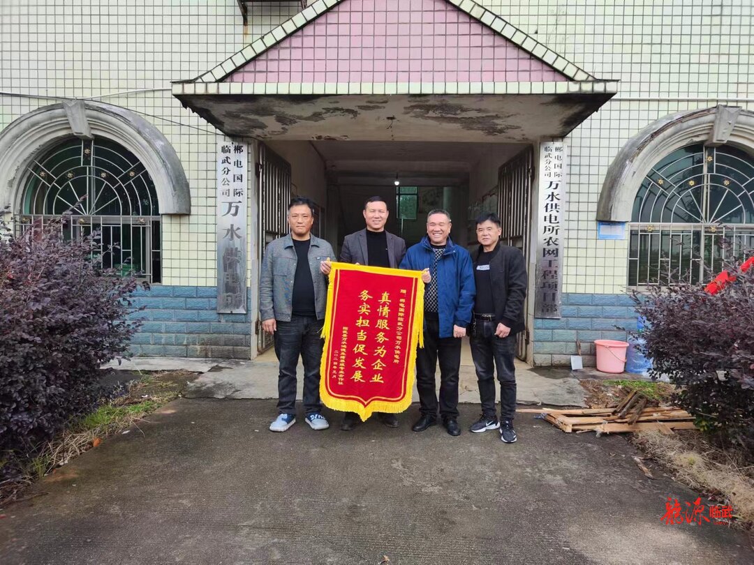 【新湖南】郴电国际临武分公司：多措并举护航岁末年初用电无忧
