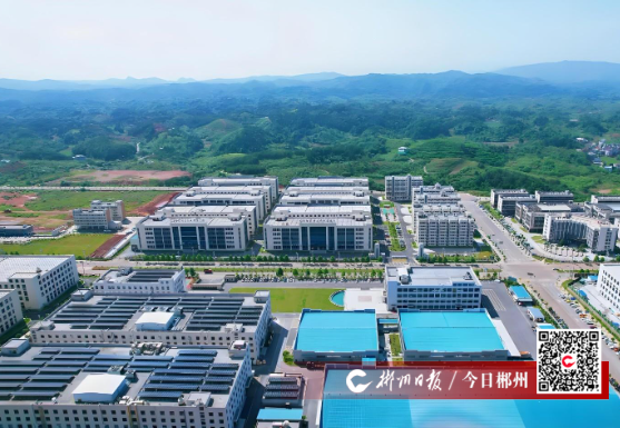 【今日郴州】青鸟归临！临武县大学生返乡就业创业率创新高
