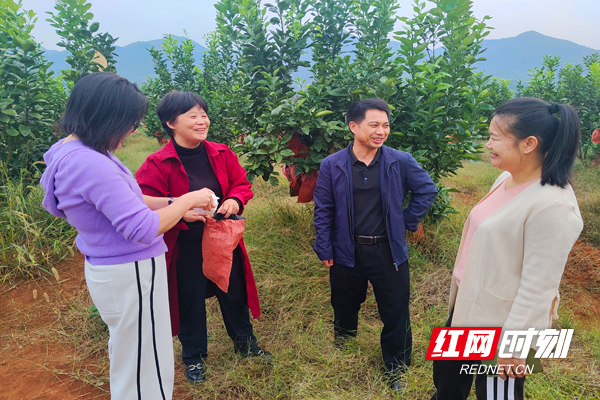 【红网时刻】临武：服务三农“千里供销一线牵”