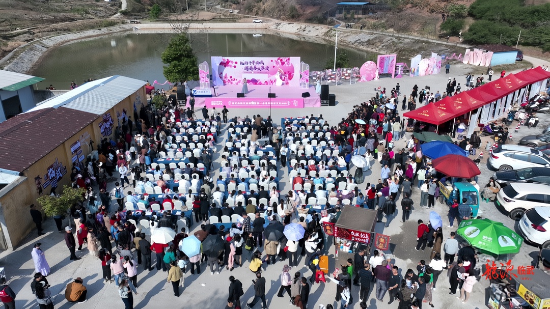 【新湖南】谁种桃花“音诗画”？临武的“诗与远方”在那桃花盛开的地方