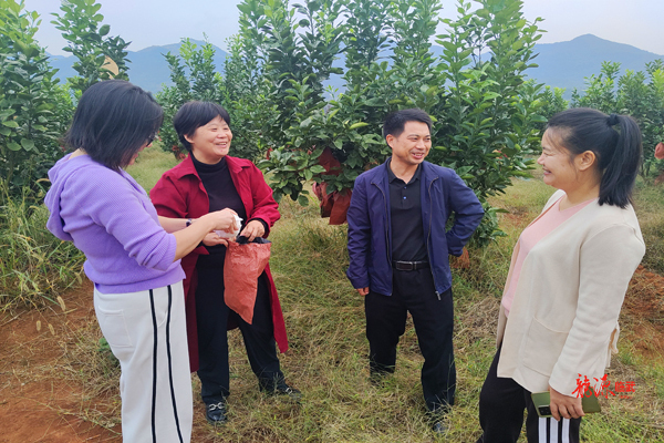 【新湖南】始终坚持为农服务宗旨！临武县供销联社狠抓四项重点工作，成效显著