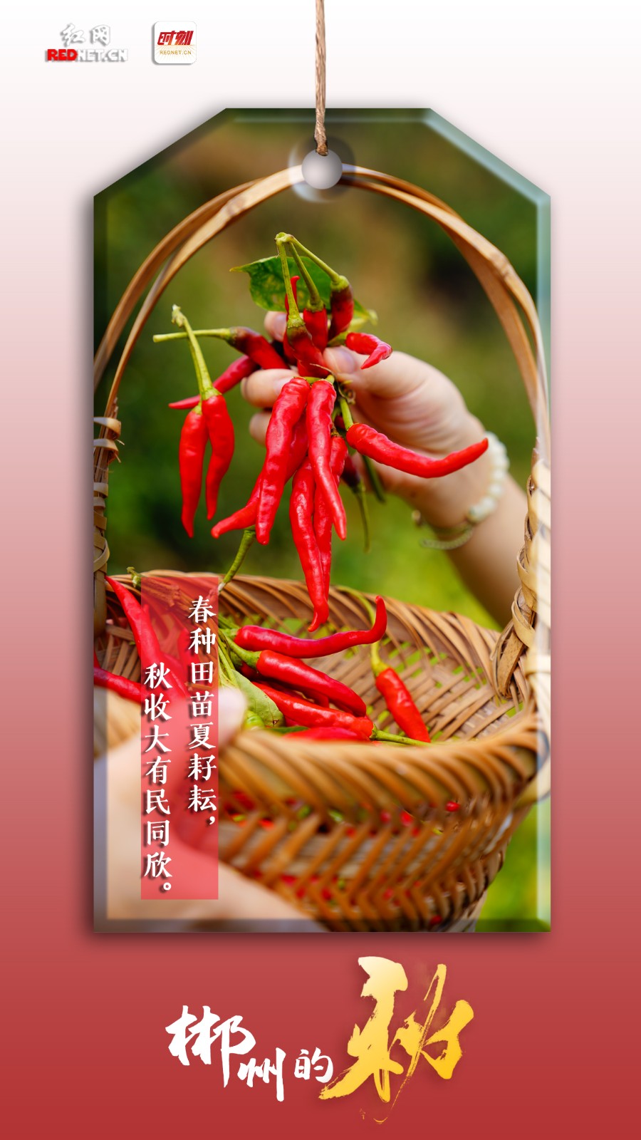 【红网时刻】海报 | 郴州的秋已打包 欢迎提回家