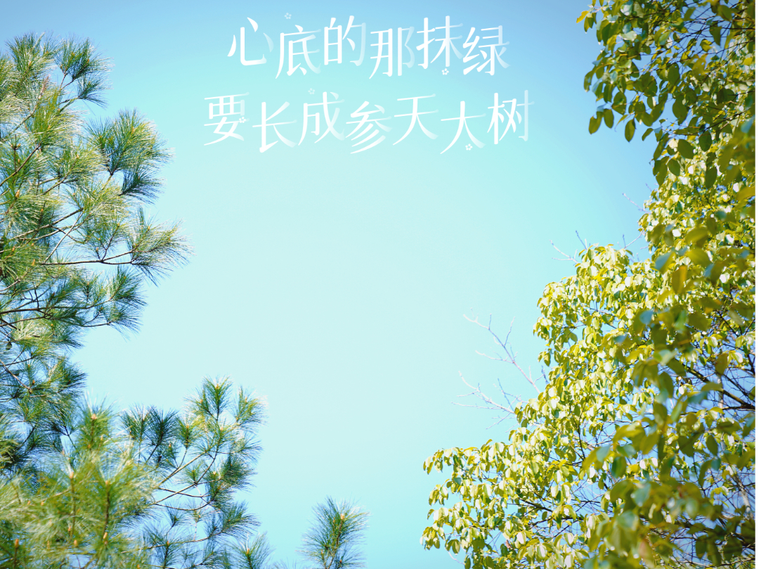 【新湖南】春暖花开种树去！临武融媒体中心组织开展义务植树活动