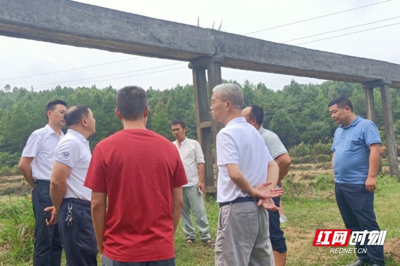 【红网时刻】临武人大：“三联三问”解难题办实事