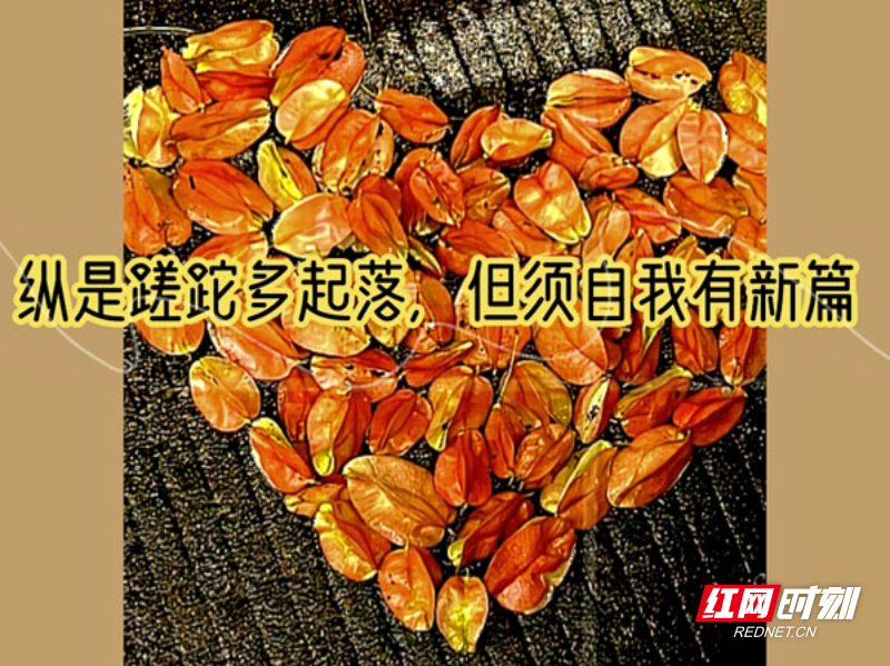【红网时刻】组图 | 临武：秋画秋心不予愁