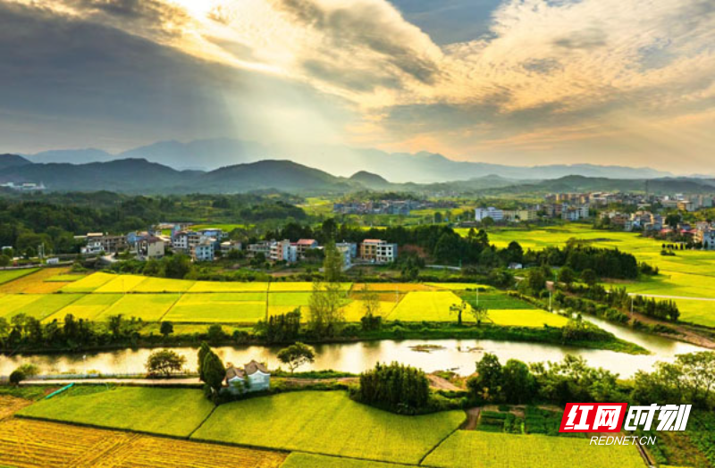 【红网时刻】组图 | 美不美“瞰”临武