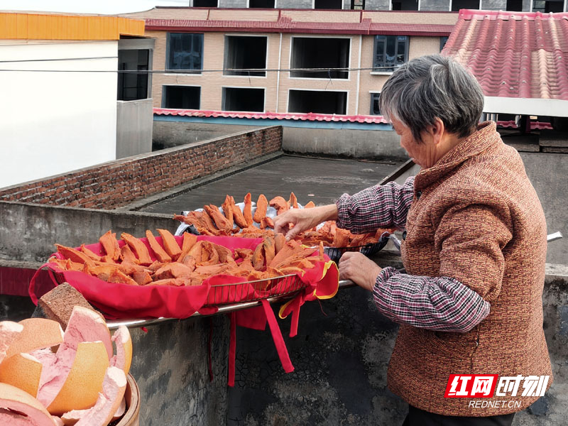【红网时刻】组图｜临武县：天台甜蜜情有所“薯”