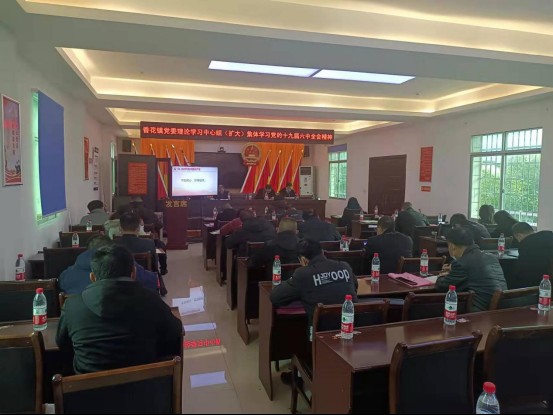 香花镇传达学习党的十九届六中全会精神