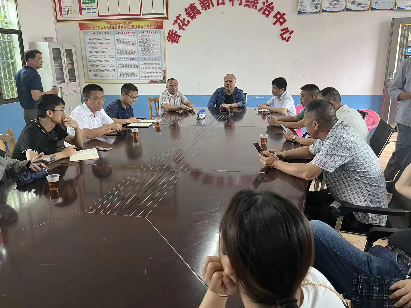 聚焦十大重点工作·乡村大振兴｜香花镇：实地观摩“比学赶超”