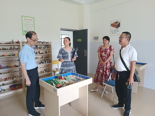 临武县青少年心理健康教育工作受市专家组好评