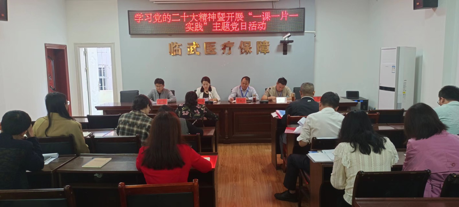 临武县医保局开展“一课一片一实践”主题党日活动