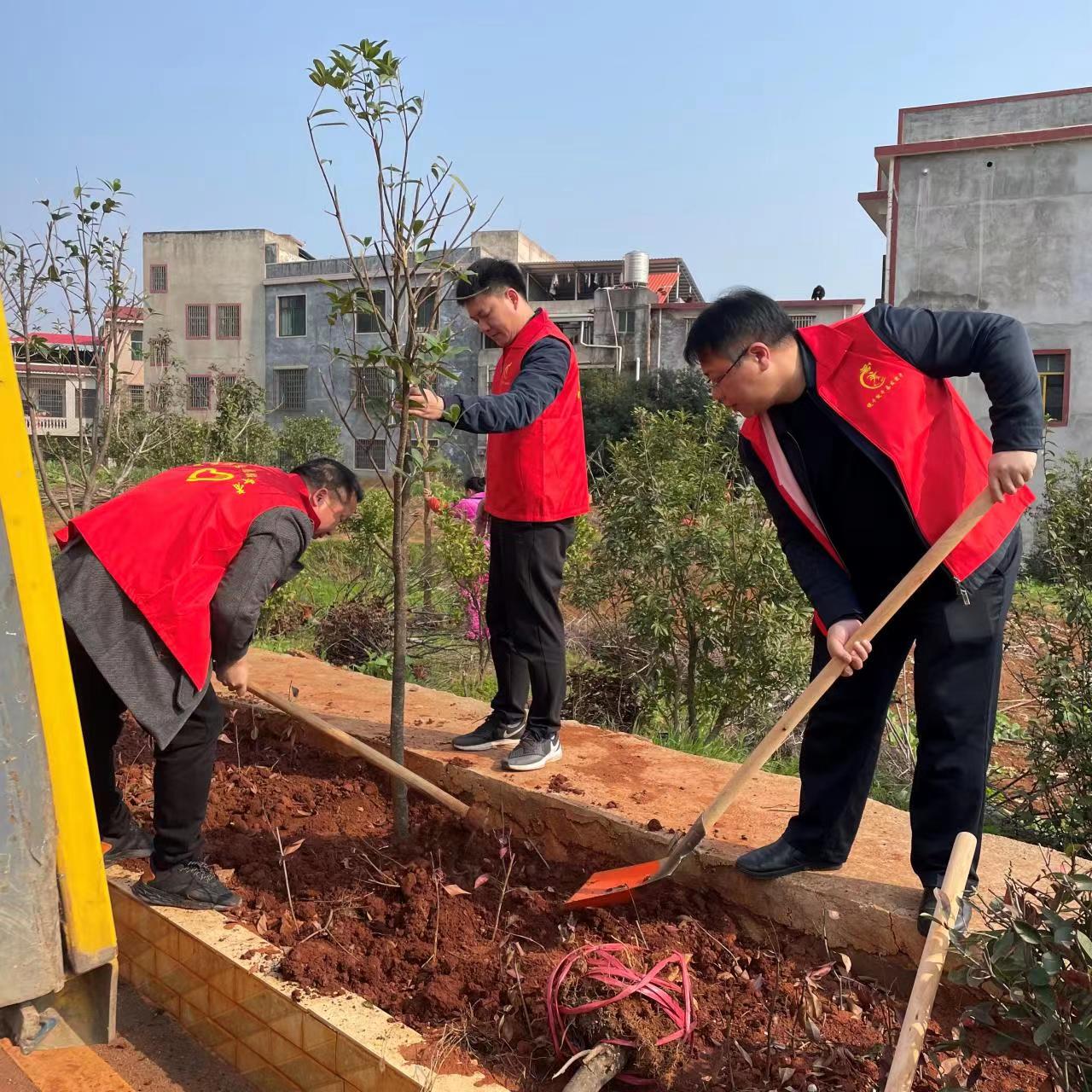 奋进的春天 | 麦市镇：种下一抹绿 收获一片荫
