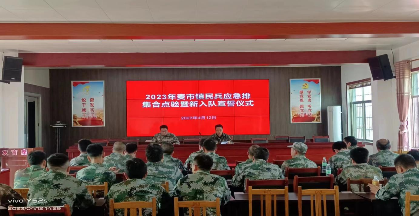 麦市镇举行2023年基干民兵点验暨新入队宣誓仪式
