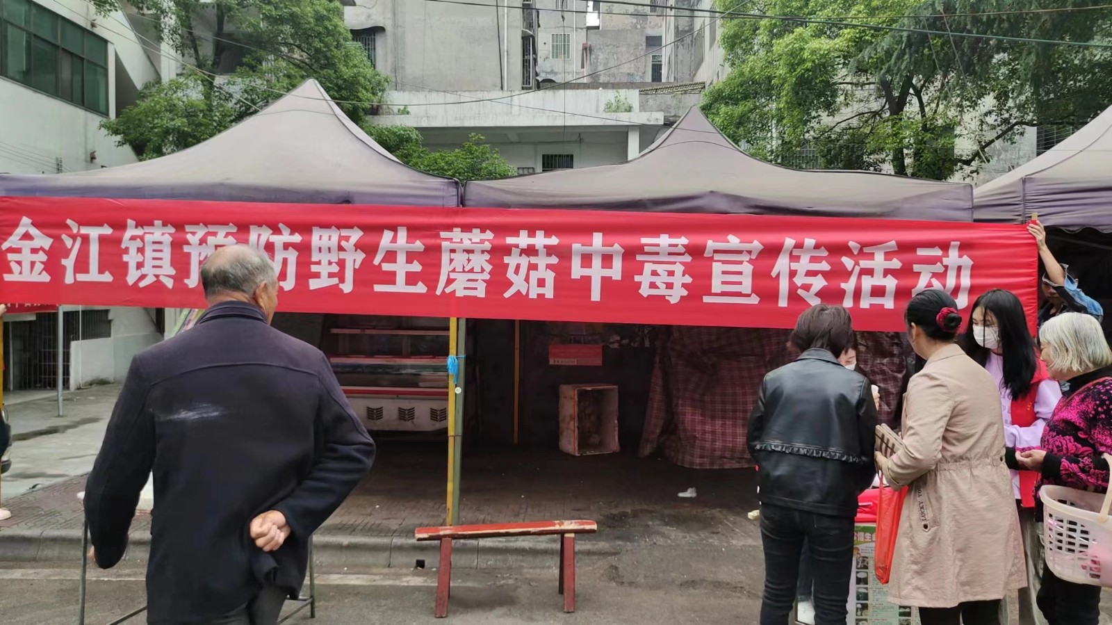 金江镇开展预防野生蘑菇中毒集中宣传活动