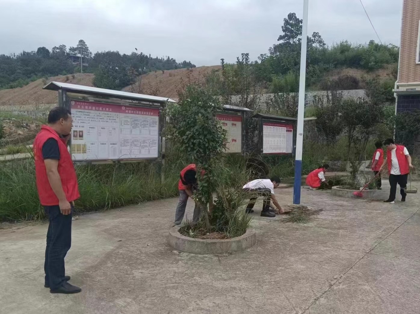 旅发进行时 | 水东镇：集中清杂 向美而行