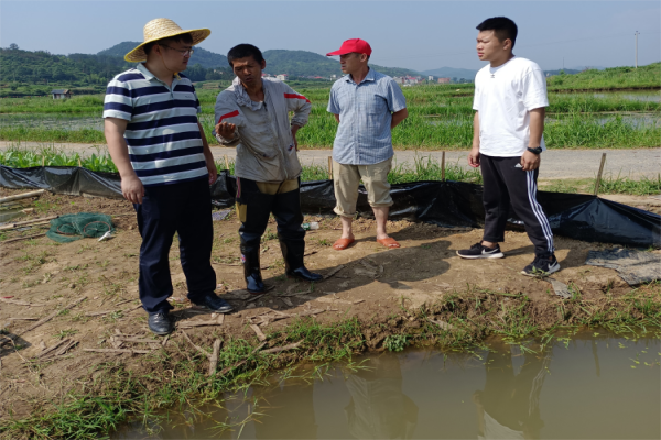 汾市镇：代表为耕地抛荒治理开“良方”