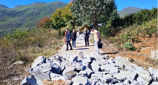 临武县交通局：村道水泥路面换板提质解民忧