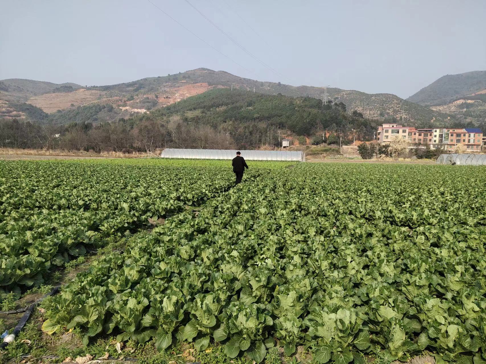 水东镇：人大代表调研助力营商环境再优化