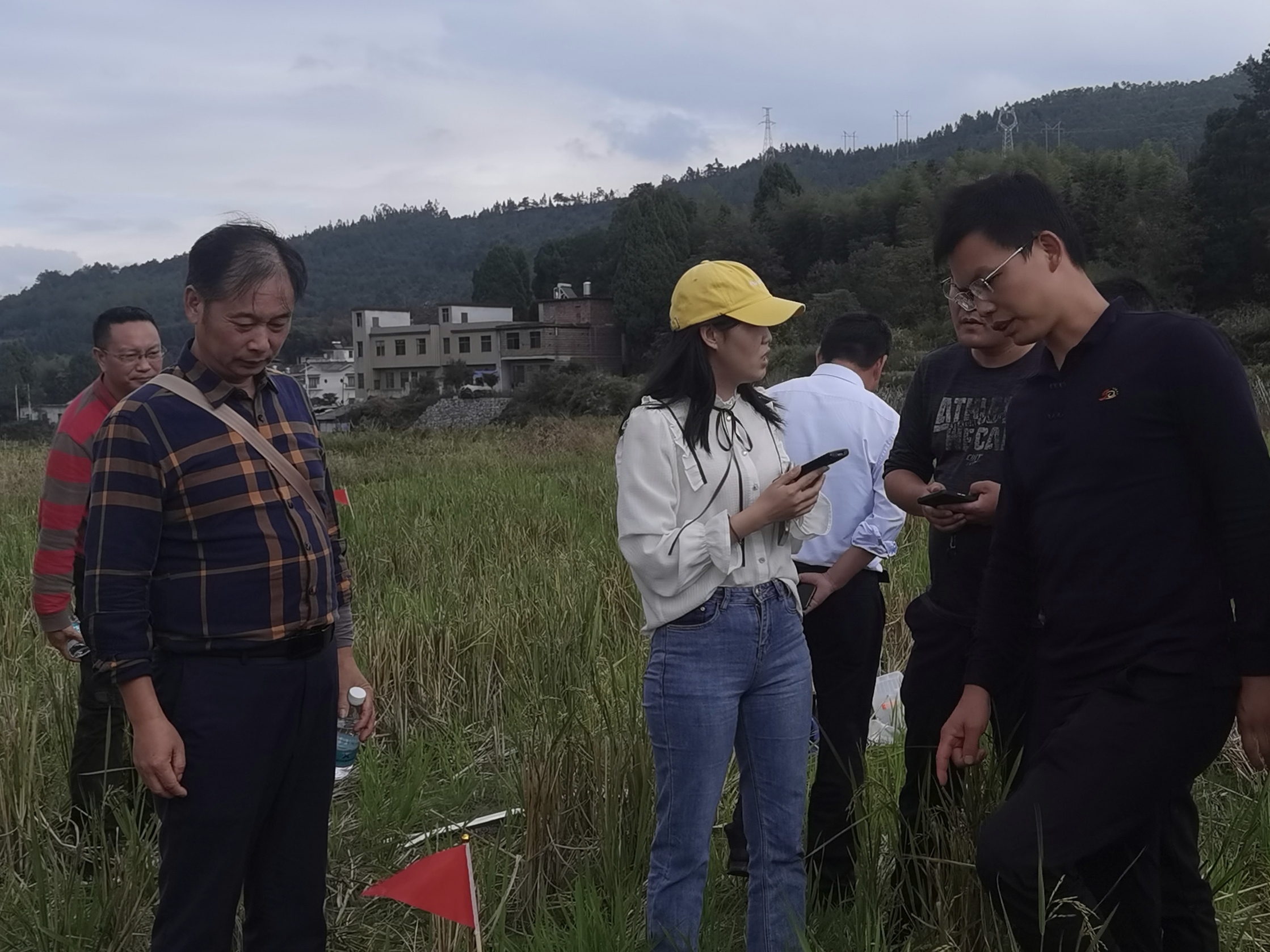 临武县高质高效完成第三次全国土壤普查表层样点外业调查采样工作