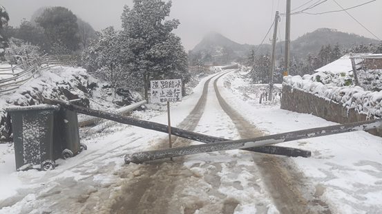 临武县交通运输局：闻雪而动保畅通