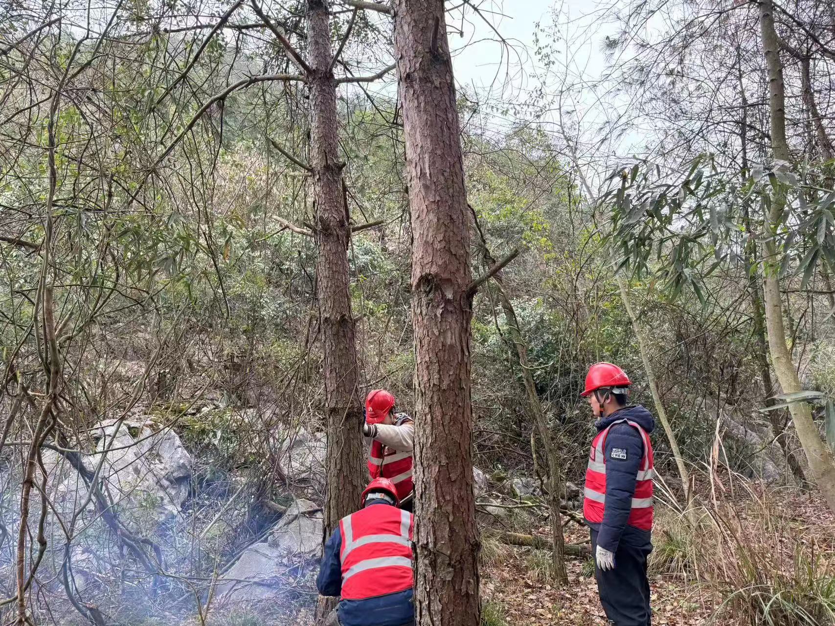 应对低温雨雪冰冻天气｜“雪来雪往我们在 满格电力度严冬”