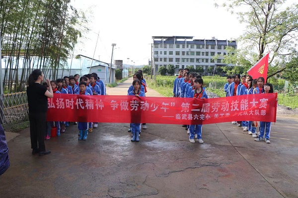 临武县六完小第二届劳动技能大赛精彩纷呈