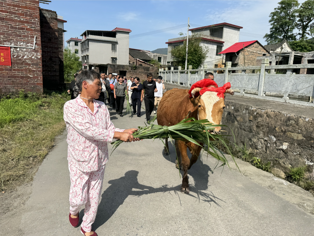 金江镇：传承民俗文化 建设和美乡村