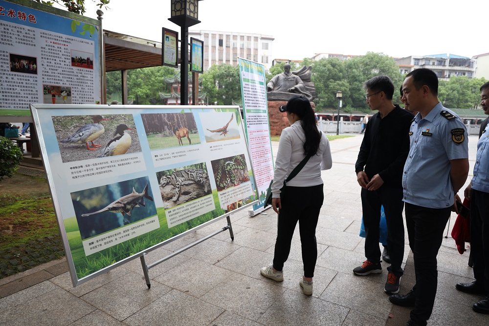 市生态环境局临武分局开展“国际生物多样性日”主题宣传