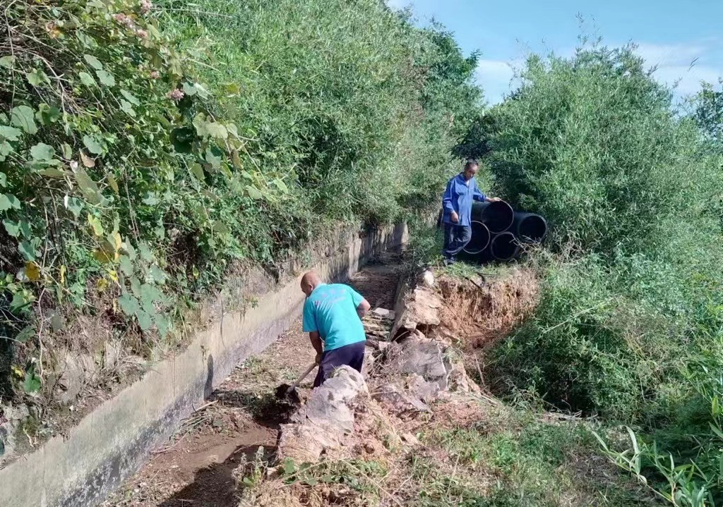 临武县水利局：修灌渠保晚稻 水利工程惠民生
