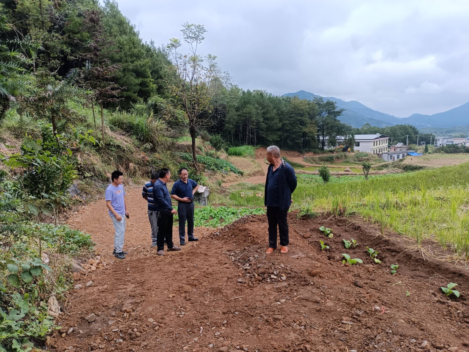 临武县自然资源局：巡查耕地守护粮食根基