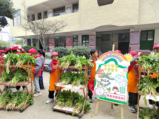 临武县一完小：爱心小菜铺   劳动大实践