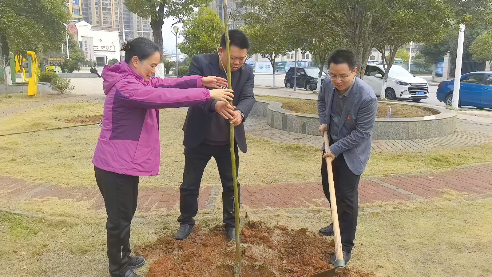 临武县城管局：植树护绿 共建生态家园