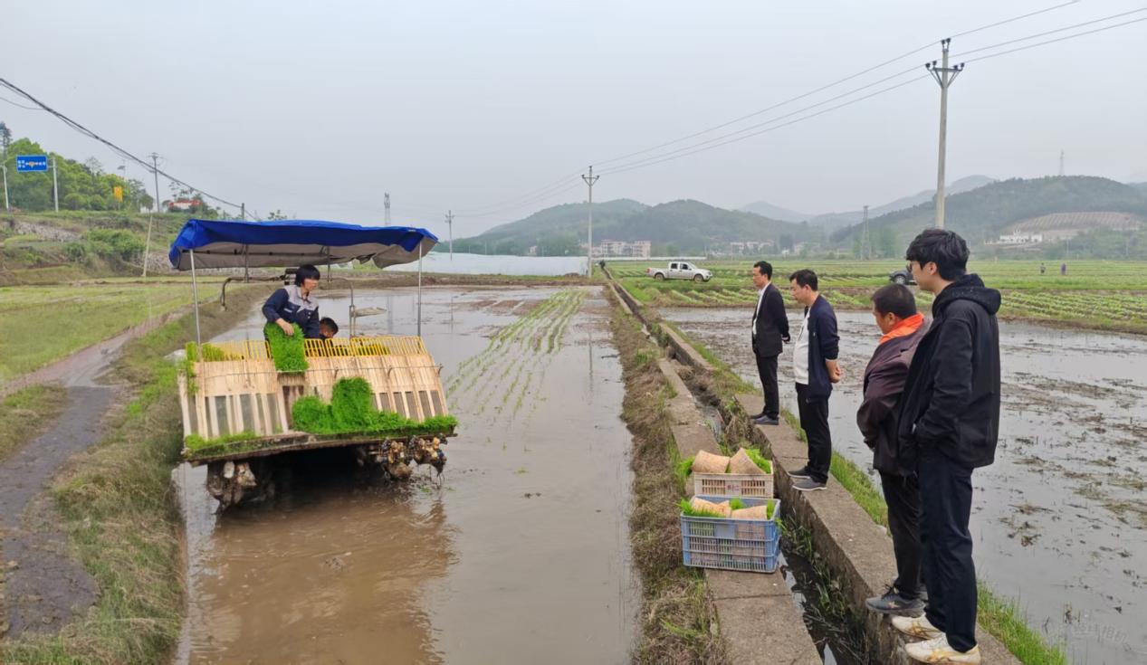 水东镇：多措并举抓双季早稻生产