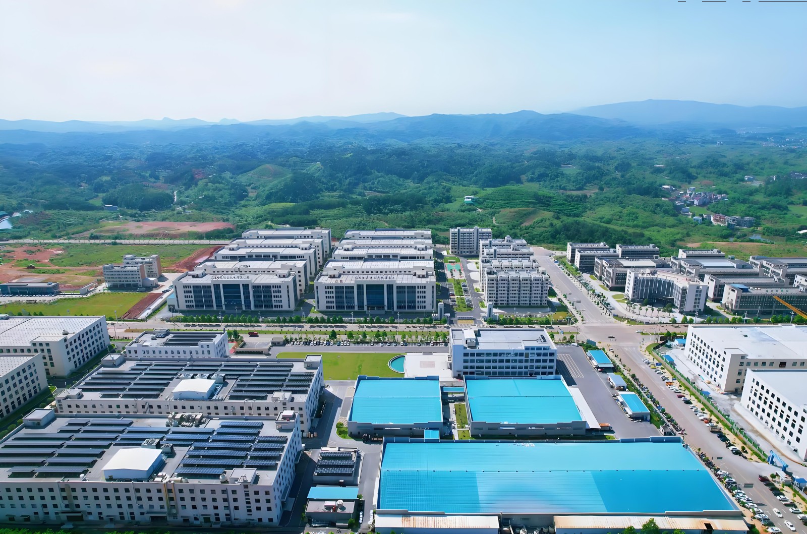 青鸟归临！临武县大学生返乡就业创业率创新高